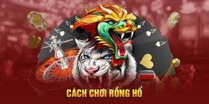 Cách Chơi Rồng Hổ - Tất Tần Tật Từ A Đến Z Cho Người Mới